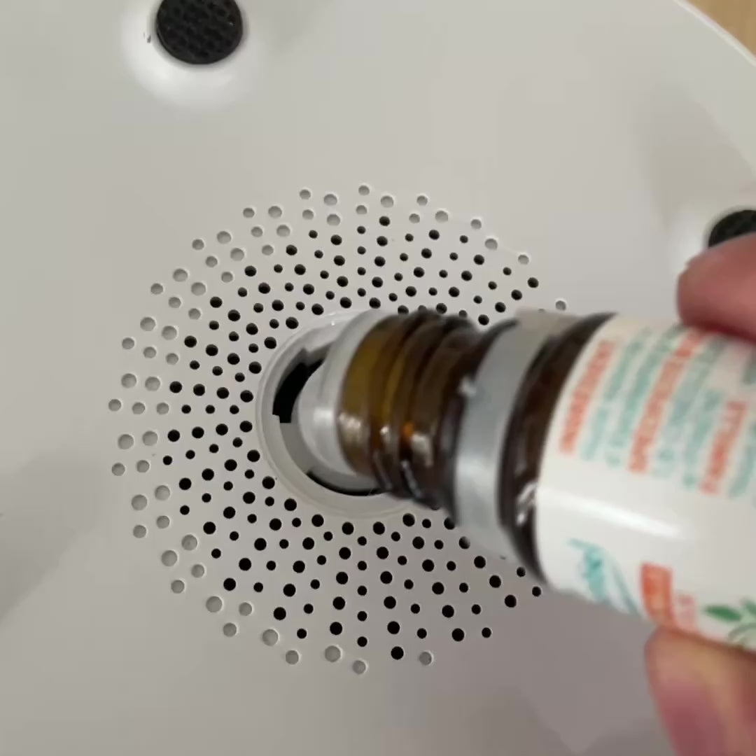 Charger la vidéo : 