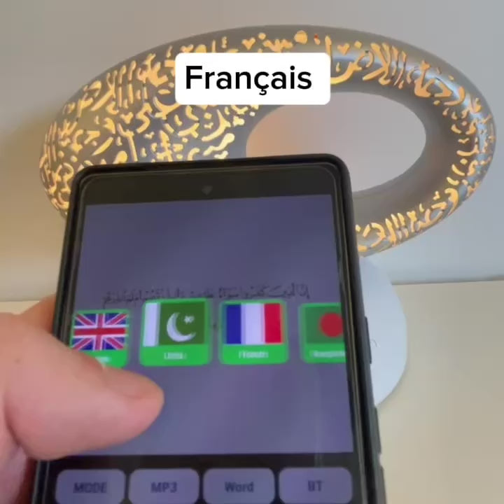 Charger la vidéo : 